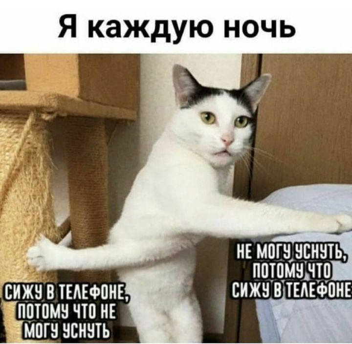 Я каждую ночь ППТПМН ЧТО НЕ МПП НЕННТЬ