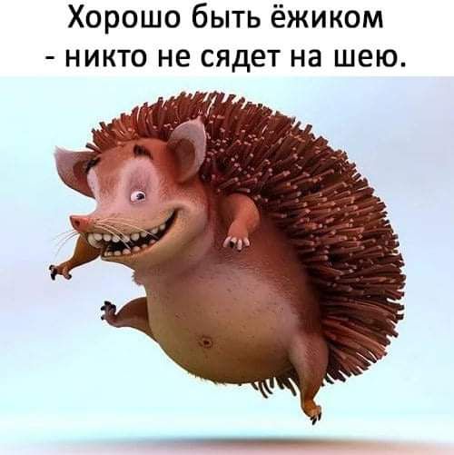 Хорошо быть ёжиком никто не сядет на шею