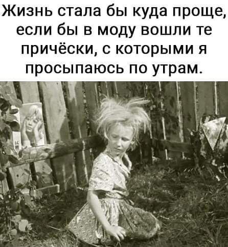 Жизнь стала бы куда проще если бы в моду вошли те причёски с которыми я просыпаюсь по утрам
