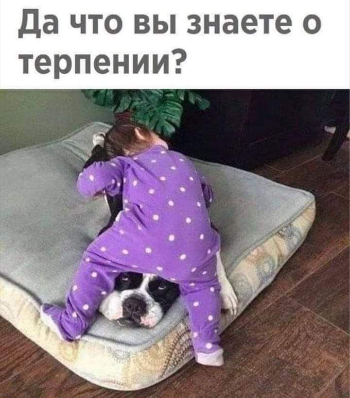 да что вы знаете о терпении
