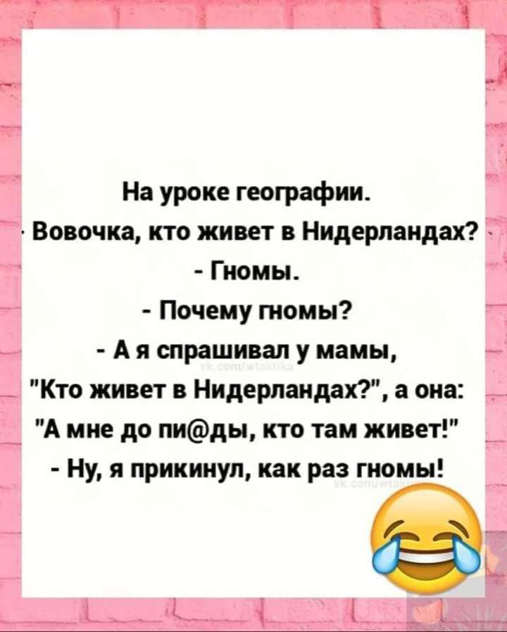 На уроке географии Вовочка кто живет в Нидерландах Гномы Почему гномы А я спрашивал у мамы Кто живет в Нидерландах а она А мне до пиды кто там живет Ну я прикинул как раз гномы
