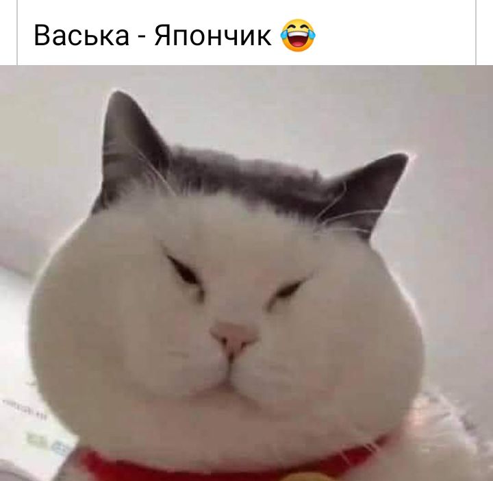 Васька Япончик