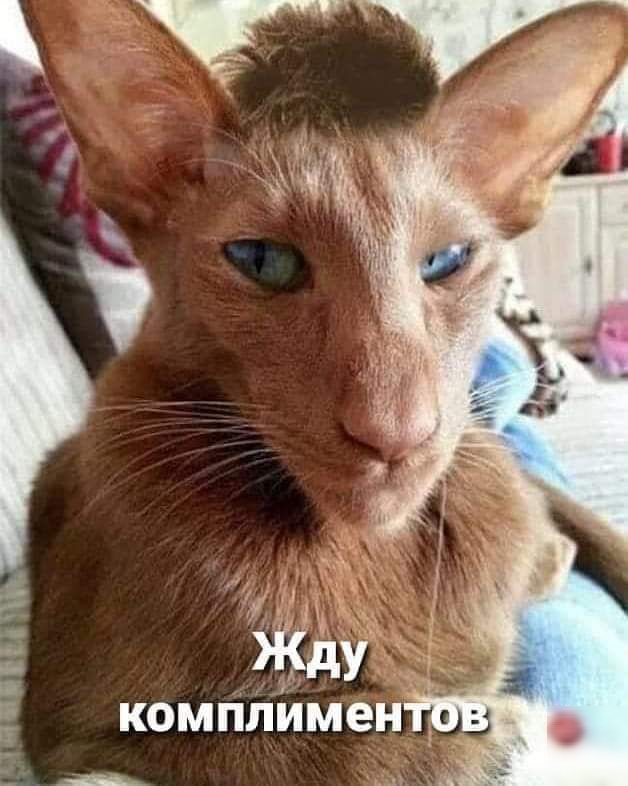 733 Н е м и Л п к П