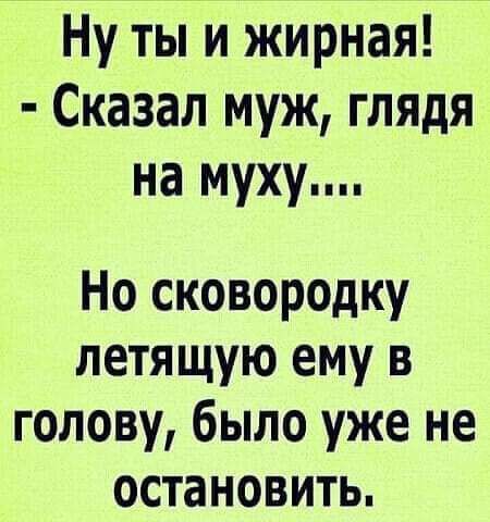 Ну ты и жирная Сказал муж глядя на муху Но сковородку летящую ему в голову было уже не остановить