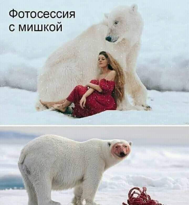 Фотосессия с мишкой