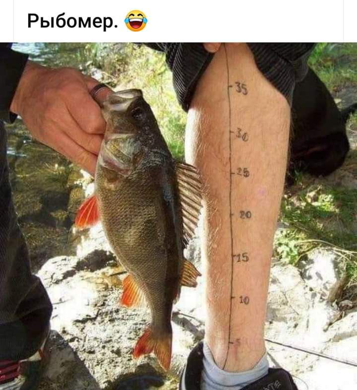 Рыбомер