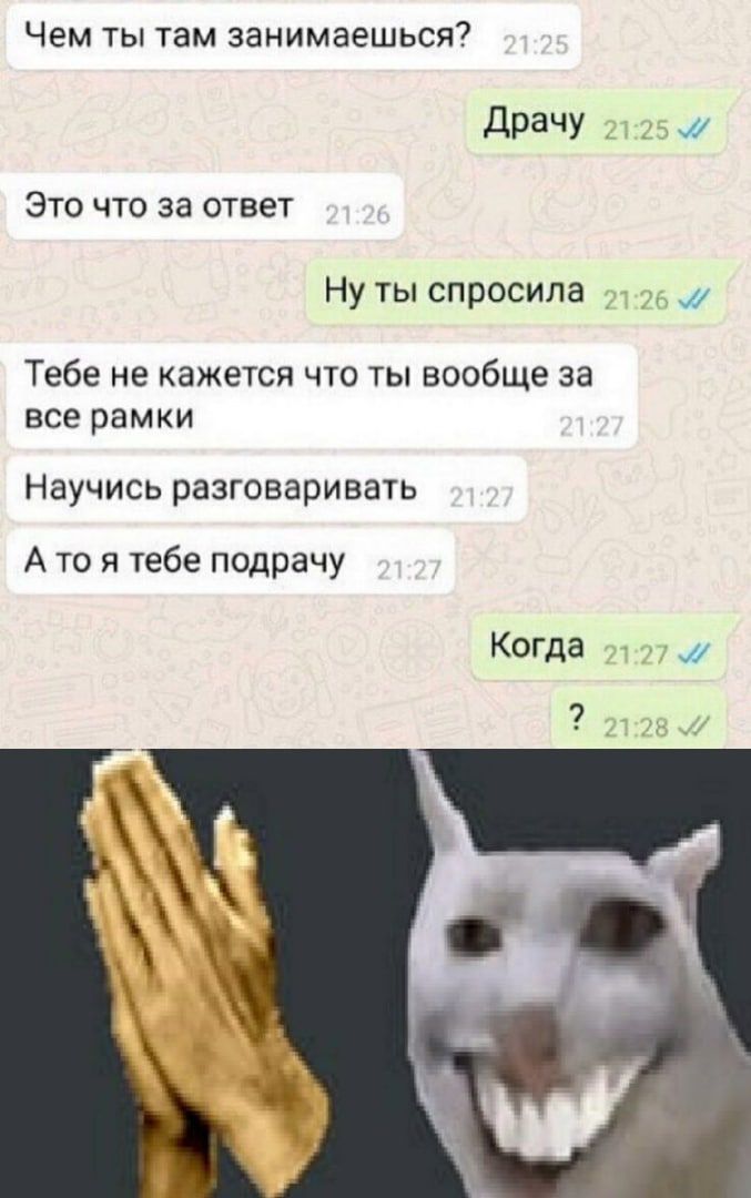 Чем ты там занимаешься дРаЧУ _ А и Это что за ответ Нутыспросила _ Тебе не кажется что ты вообще за все рамки Научись разговаривать А то я тебе подрачу Когда
