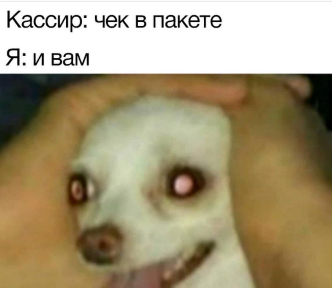 Кассир чек в пакете Я и вам