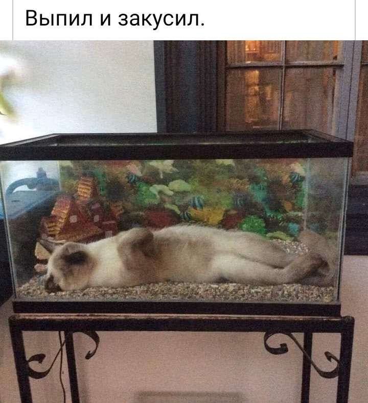 ВЫПИЛ И ЗдКУСИЛ