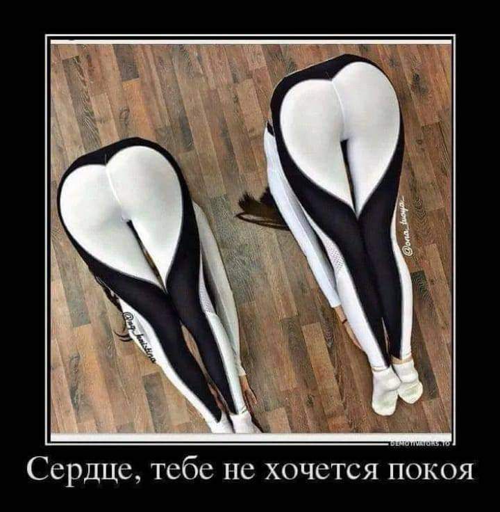 ССРДЦС тебе не ХОЧСТСЯ ПОКОЯ