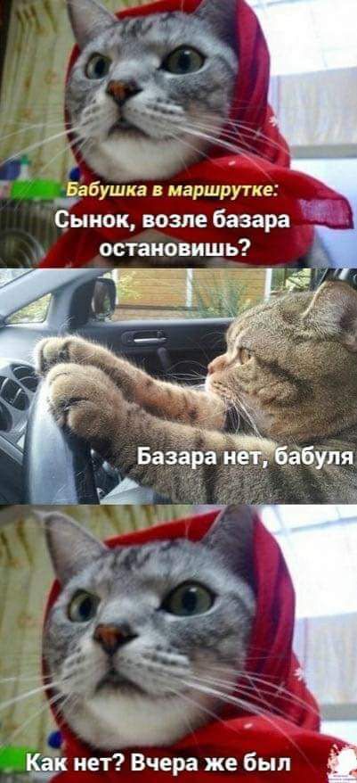 Бабушка в маршрутке Сынок возле базара остановиш 7 ёк нет Вчера же был