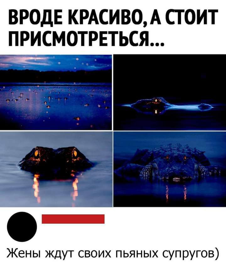 ВРОДЕ КРАСИВО А СТОИТ ПРИСМОТРЕТЬСЯ Жены ждут своих пьяных супругов
