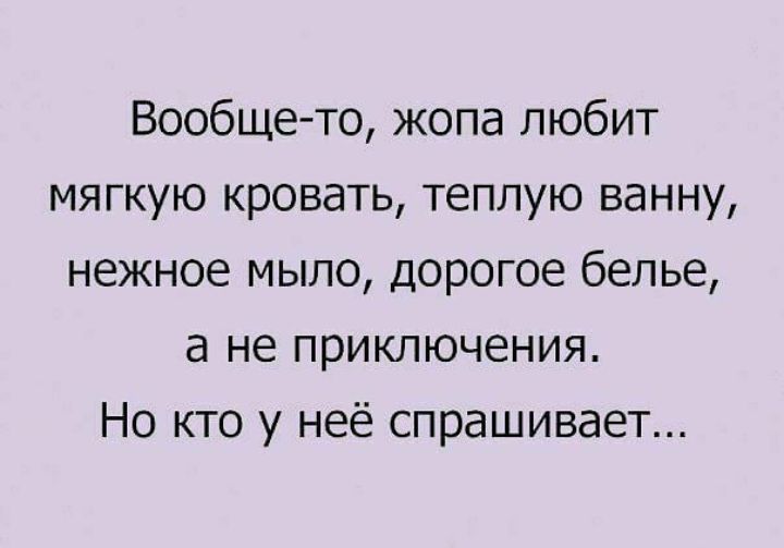 Вообще то жопа любит мягкую кровать теплую ванну нежное мыло дорогое белье а не приключения Но кто у неё спрашивает
