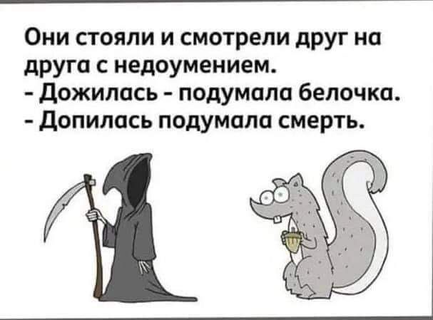 Они стояли и смотрели друг на друга с недоумением Дожипась подумала белочка Допилась подумала смерть