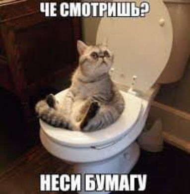 7 __ а ЧП Шт