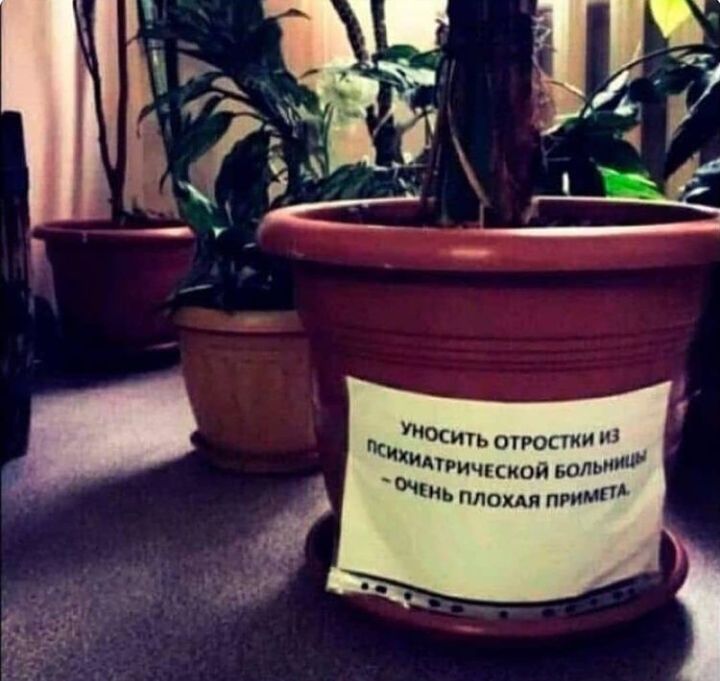 Оситьогрости и _ хичгской юлии Ь племя пгимГ