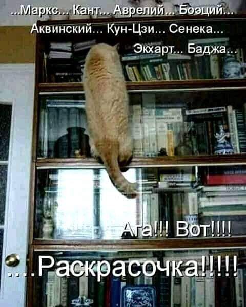 квинский Кун Цзи Сенека ЭЁЁРЬБЁмв _ зп