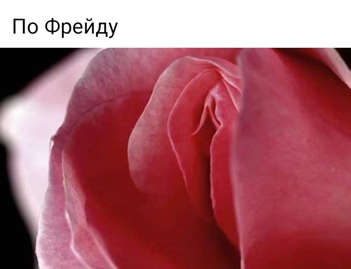 По Фрейду
