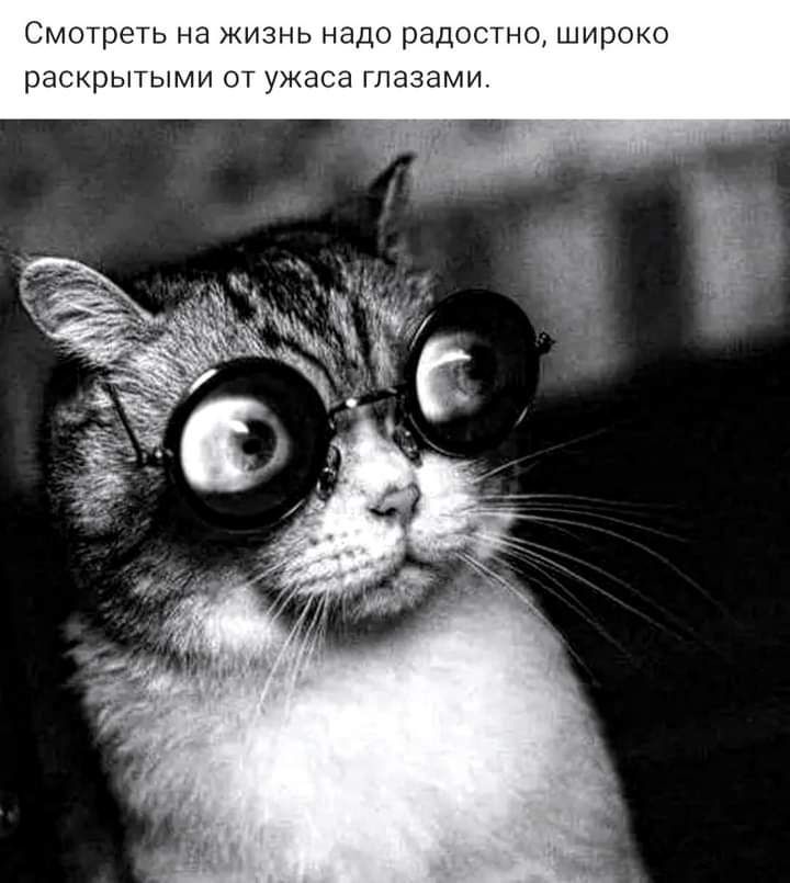 Смотреть на жизнь надо радостно широко раскрытыми от ужаса глазами