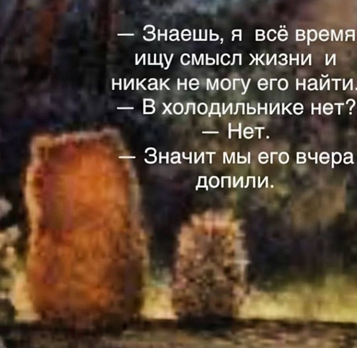 л Знаешь я все время ищу смысл жизни и никак нема его найти В холоди вцике нет в НеТ Значит мы его вче а _ _ допрли_