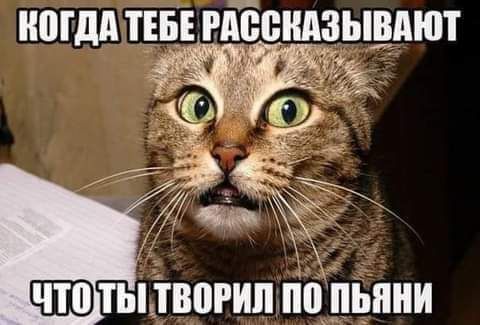 МДА ТЕБЕ РПОВНАЗЫВАЮТ тыпвогипПоіШрпни