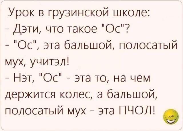 Урок в грузинской школе Дэти что такое Ос Ос эта бальшой полосатый мух учитэл Нэт Ос эта то на чем держится колес а бальшой полосатый мух эта ПЧОЛ о