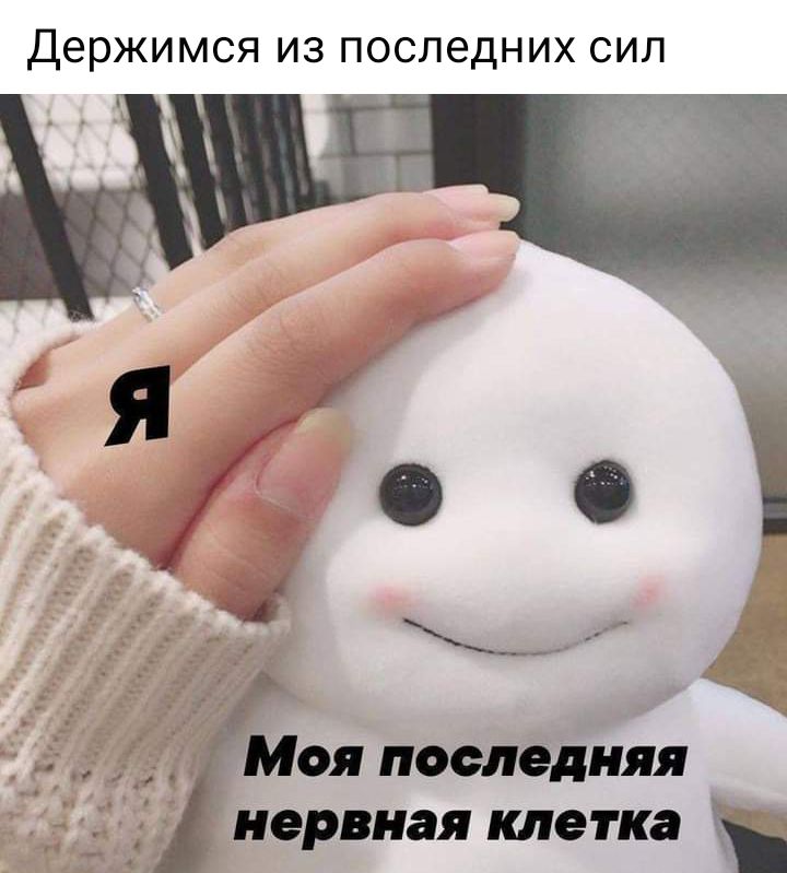 ДЭРЖИМСЯ из последних СИЛ д Моя последняя нервная клетка