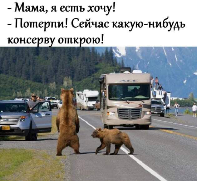 Мама я есть хочу Потерпи Сейчас какуюнибудь