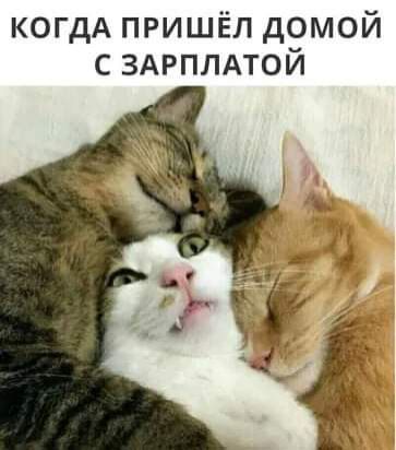 КОГДА пришёл домой с ЗАРПЛАТОЙ