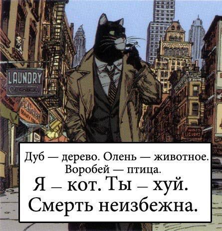 Воробей птица Я _ кот ТЫ _ хуй Смерть неизбежна