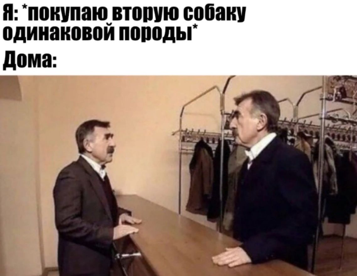 я покупаю ВЮПУЮ собаки 0дИН8Н030ЙП0П0дЬ дома