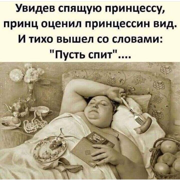 Увидев спящую принцессу принц оценил принцессин вид И тихо вышел со словами