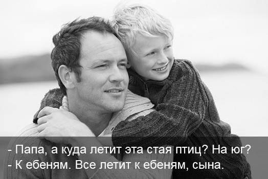 Папа а куда петит эта стая птиц На юг К ебеням Все летит к ебеням сына