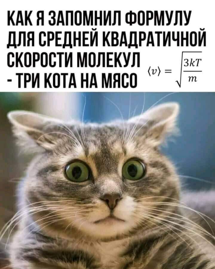 КАК Я 3АПОМ_НИЛ ФОРМУЛУ _ дЛЯ ОРЕЛНЕИ КВАЛРАТИЧНОИ ОКОРООТИ МОЛЕКУЛ Г ТРИ КОТА НА МЯСО