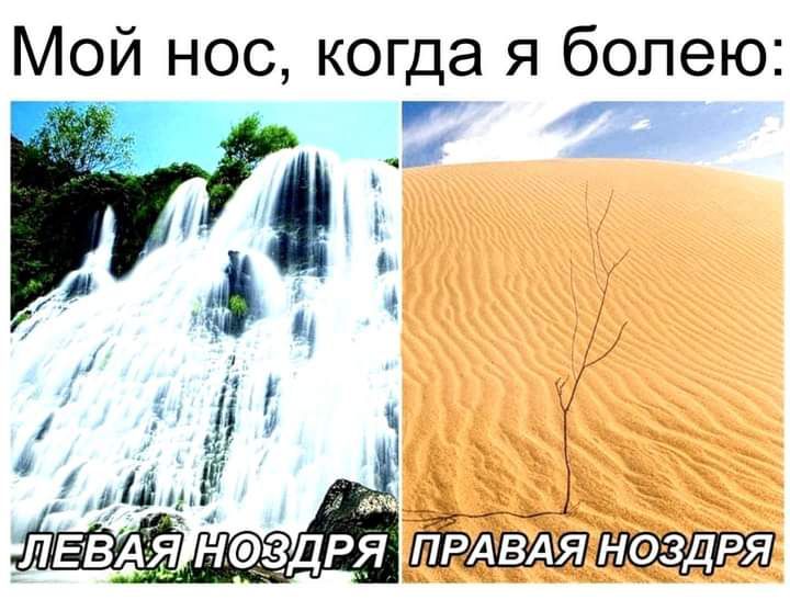 Мой нос когда я болею