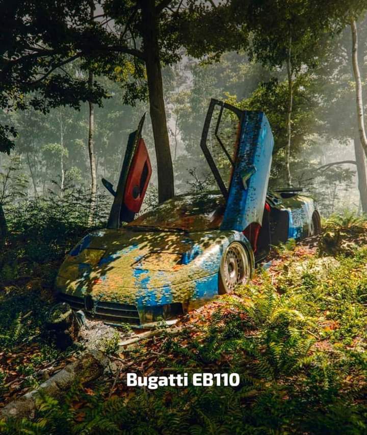 3 Вива ні 53110