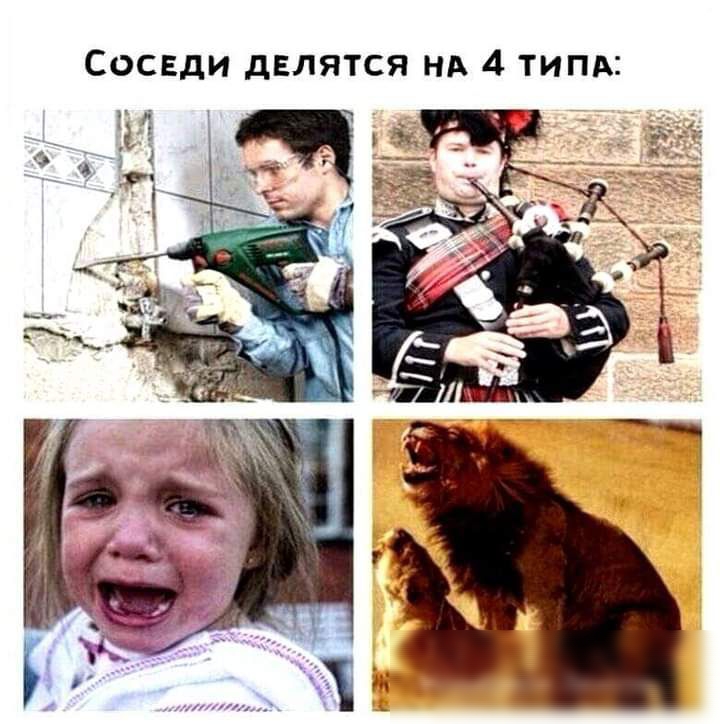 Соседи дЕЛЯТСЯ НА 4 типд