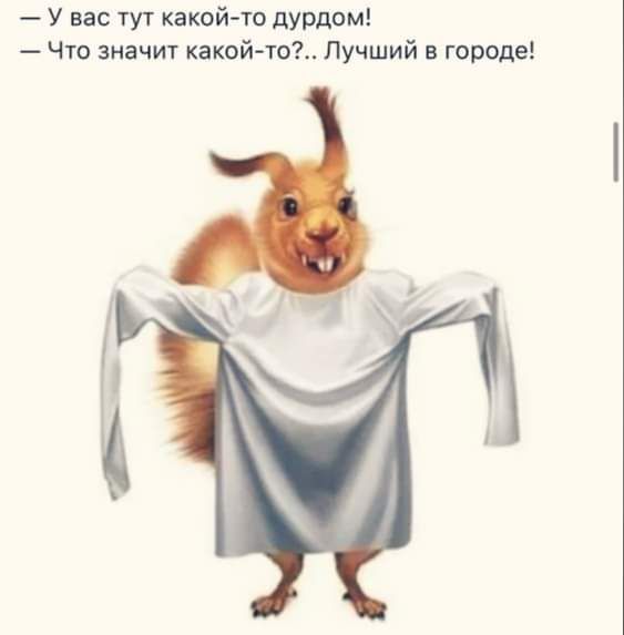 У вас тут какой то дурдом Что значит какой то Лучший в городе