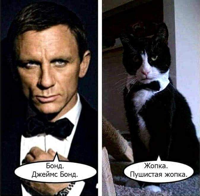 11 Бонд Джеймс Бонд