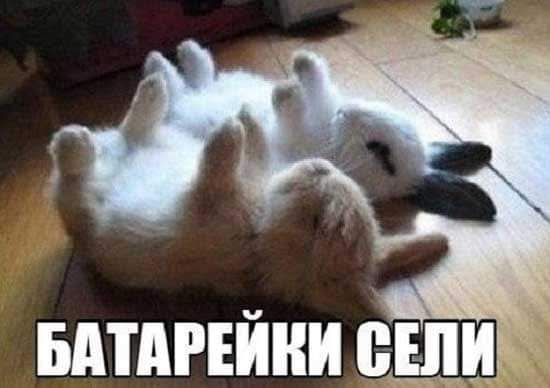 ыпдгъини цепи _