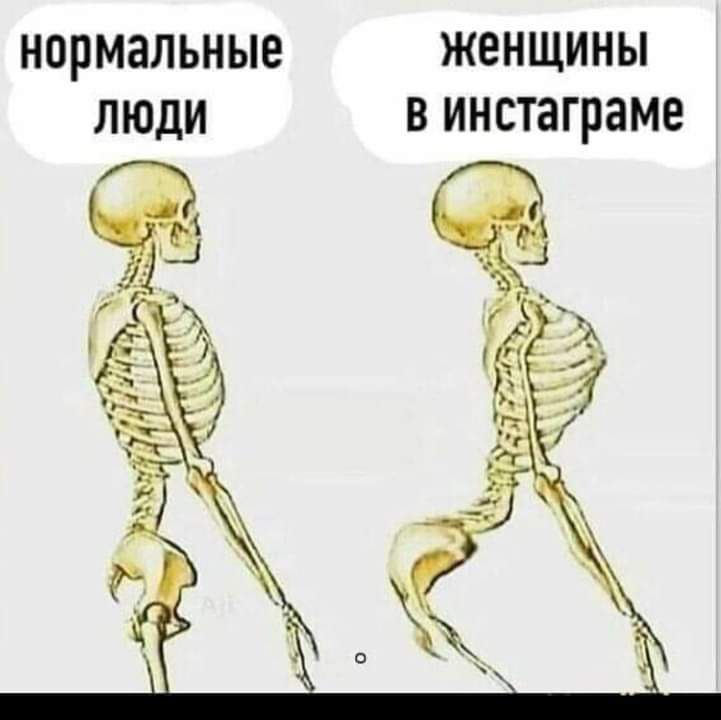 НОРМЗЛЬНЫЕ ЖЕНЩИНЫ ЛЮДИ В инстаграме