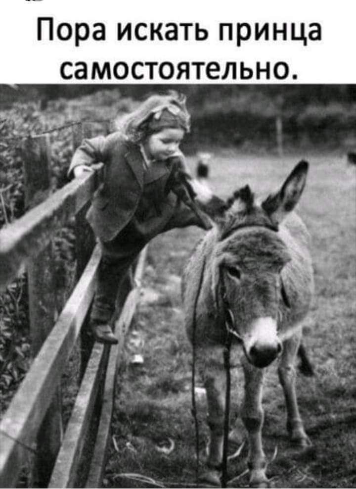 Пора искать принца самостоятельно