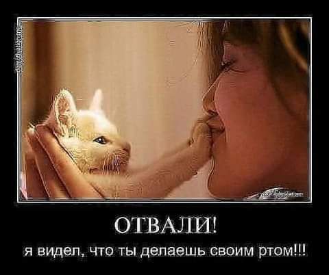 я видел чтз ты депаешъ своим ртом