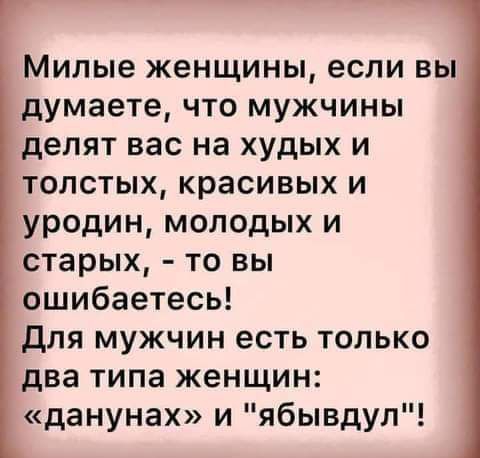 Милые женщины если вы думаете что мужчины делят вас на худых и толстых красивых и уродин молодых и старых то вы ошибаетесь для мужчин есть только два типа женщин данунах и ябывдул