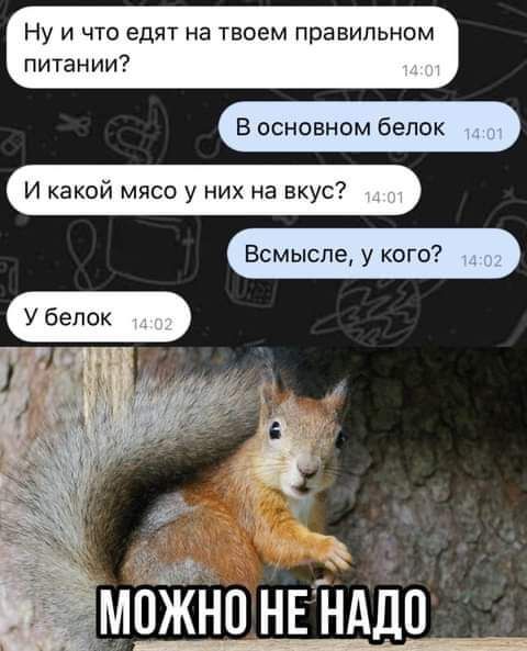 НУ И ЧТО еДЯТ на ТБОЕМ ПРЗВИПЬНОМ ПИТЗНИИ В основном белок И какой мясо у них на вкус У белок можно НЕНАДП