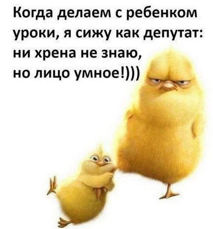 Когда делаем с ребенком уроки я сижу как депутат ни хрена не знаю но лицо умное _ті