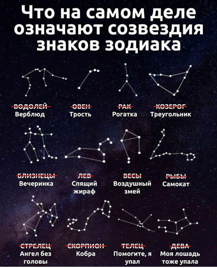 ЧТО на самом деле ОЗНЗЧЗЮТ СОЗВЭЗДИЯ знаков зодиака мк Верблюд Трость Рогатка Треугольник Ё г і 10 ЛЕВ ВЕЕЫ Вечеринка Спящий Воздушный Самокат жираф змей Ангел без Кобра Помогите я Моя лошадь головы упал тоже упала