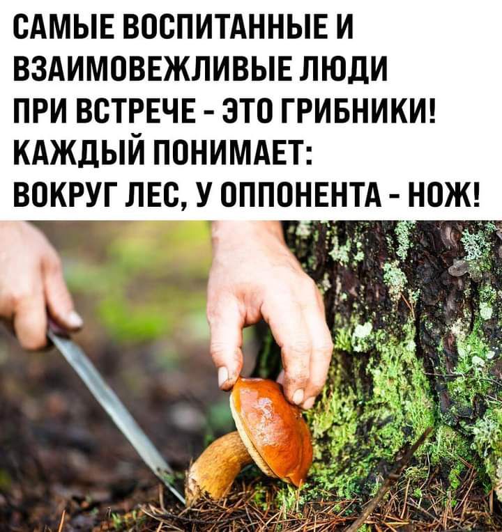 САМЫЕ воспитднныв и вздимовнжливыв люди при встрвчв это гривникш кдждый ПОНИМАЕТ вокруг лвс у оппонвнтд НОЖ ж