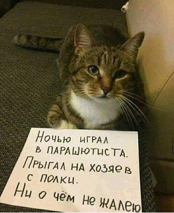 Ночью ИГРА Ь ПАРАШЮТЫСТА_ ЛРЬГАА НА хозяев С полкы НЦ О чём НО ЖААВЮ