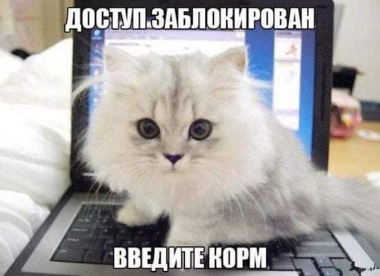 дПЕППЗАБППНИРВЦ